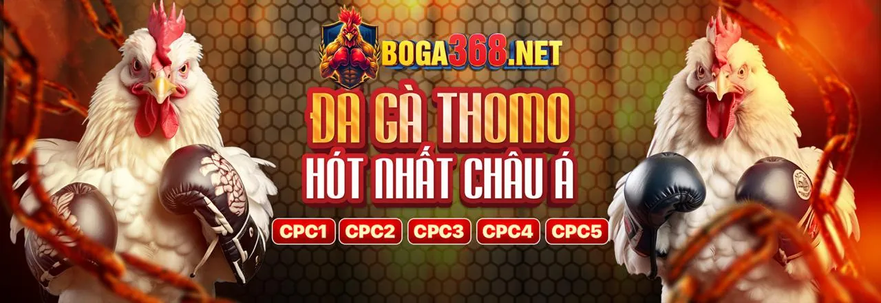 Đá Gà Trực Tuyến NEX8